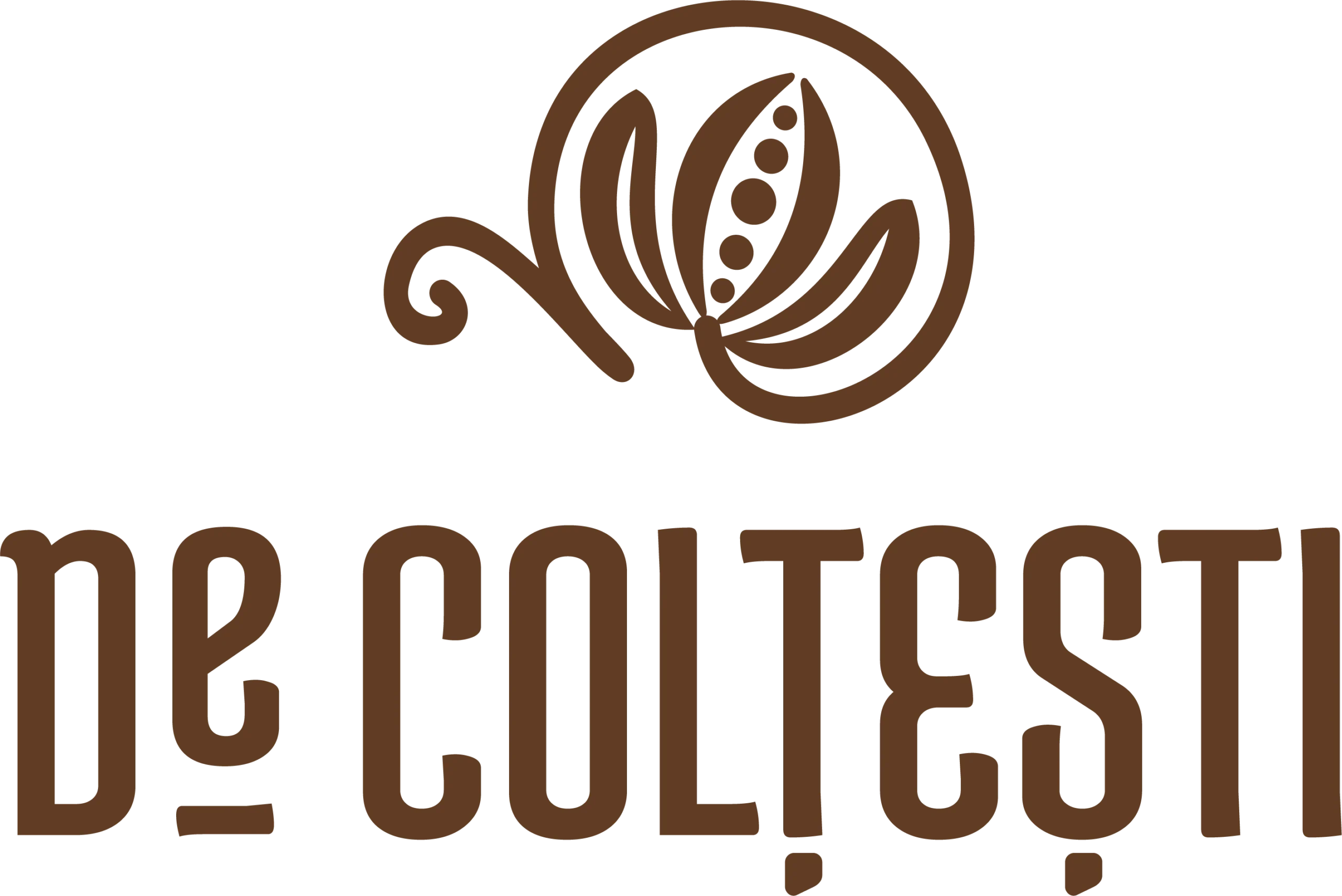 logo_decoltesti_transparent logo_decoltesti_transparent